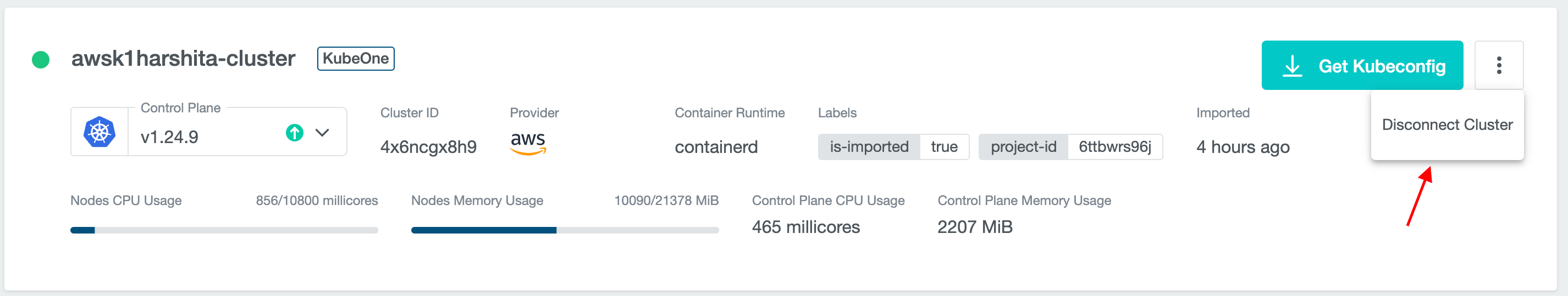 Disconnect KubeOne Cluster on Details Page