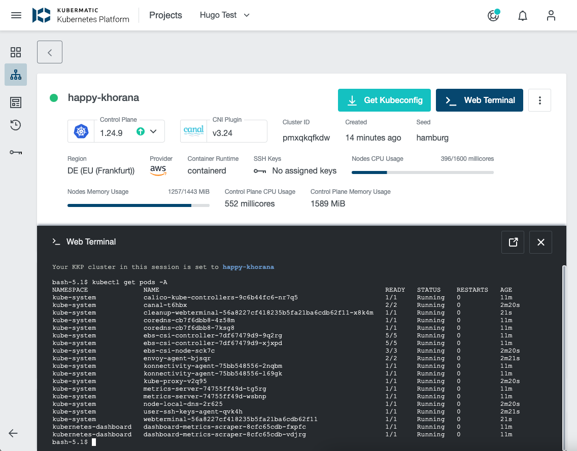 Web Terminal