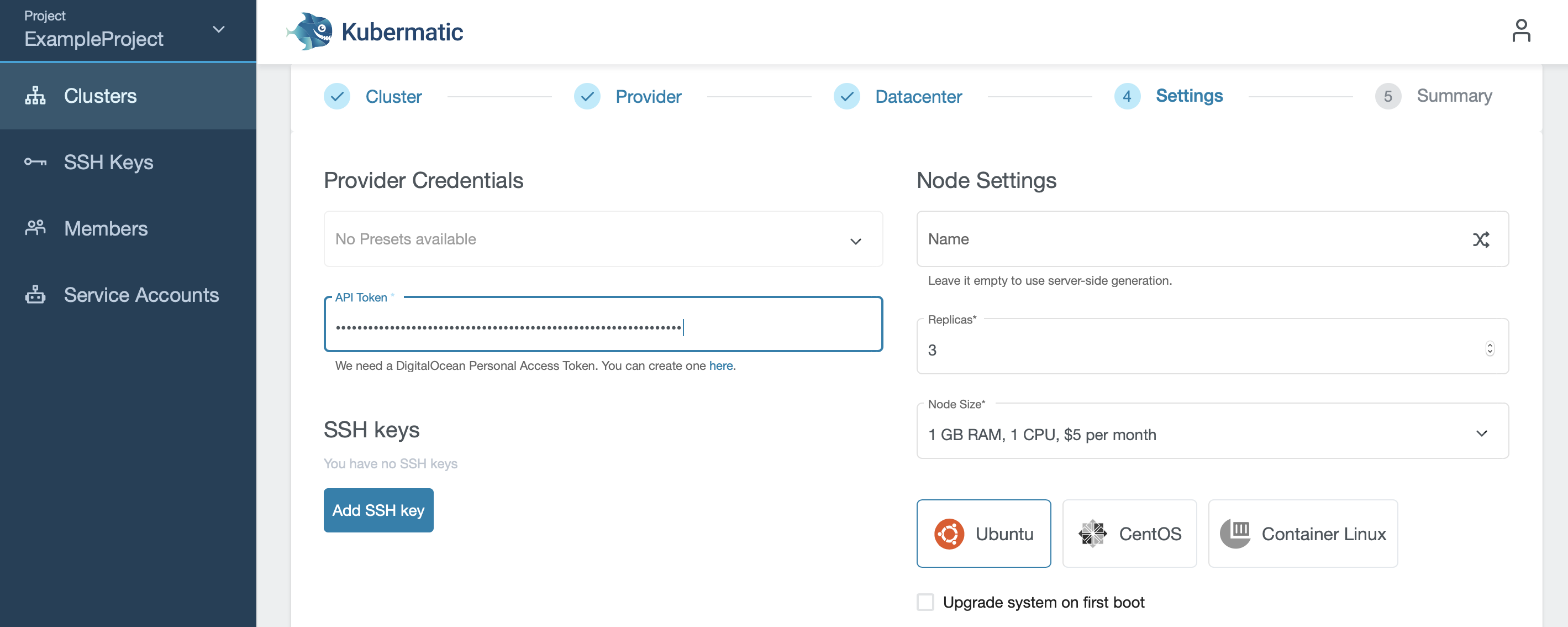 Overview of cluster settings with prefilled node section