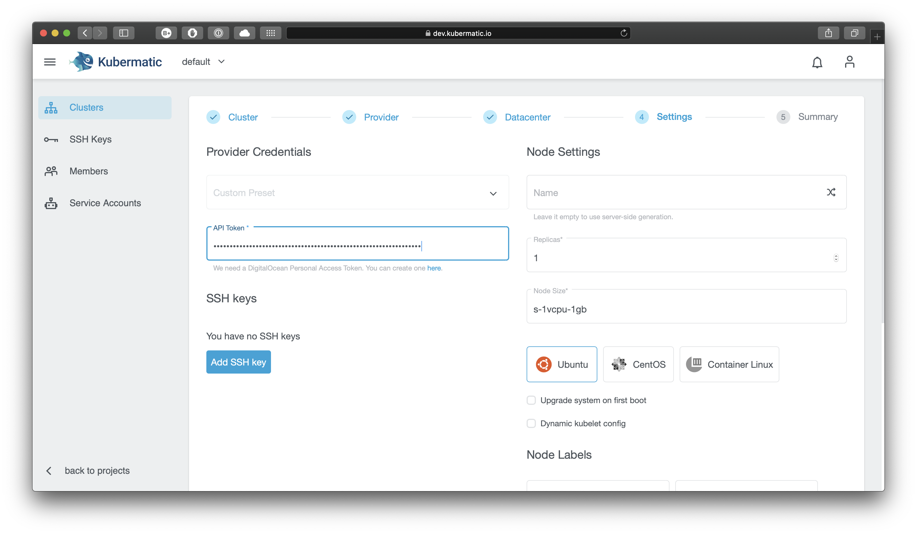 Overview of cluster settings with prefilled node section